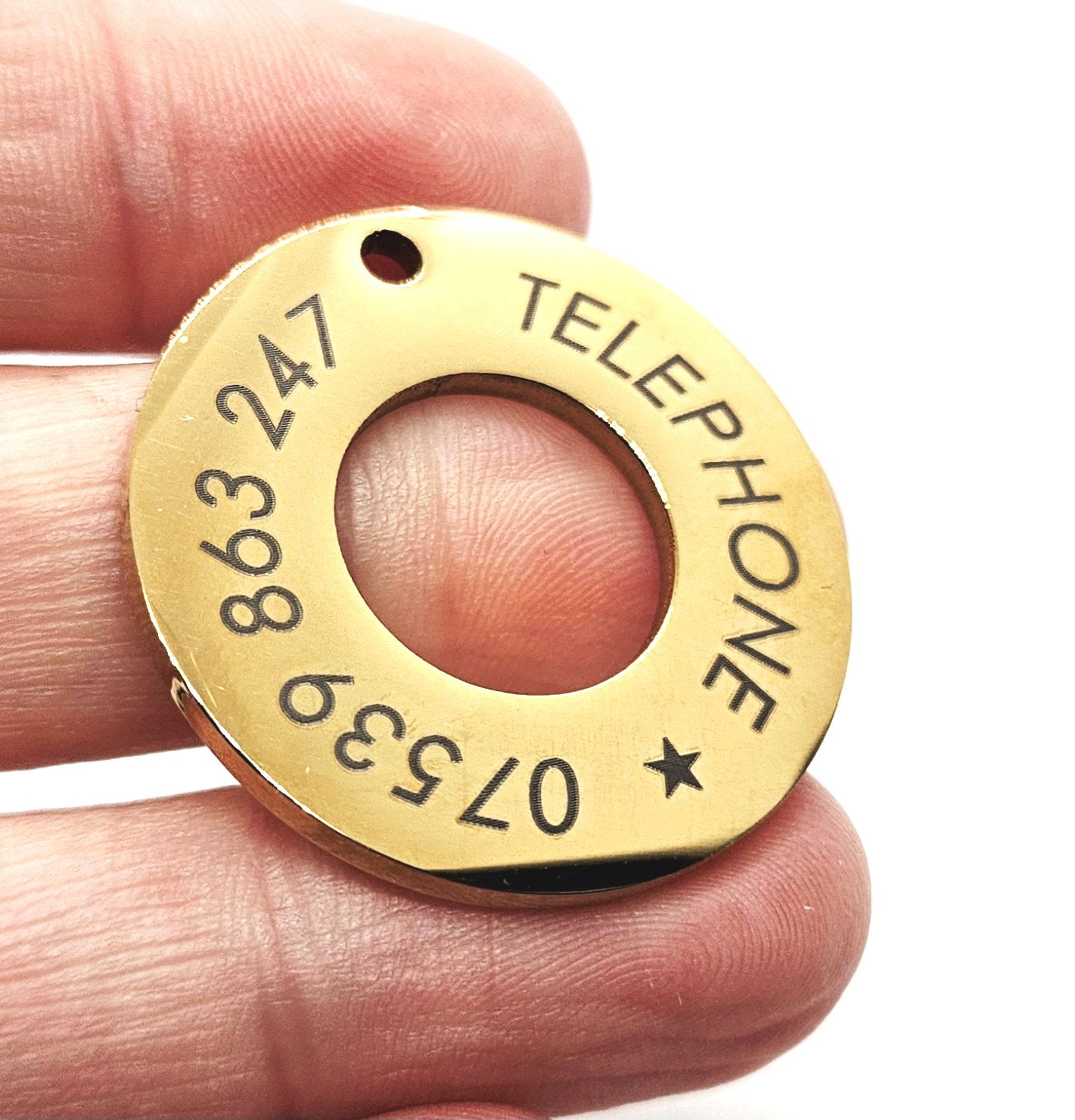 Stainless Steel Personalised Identity Round Pet Tag