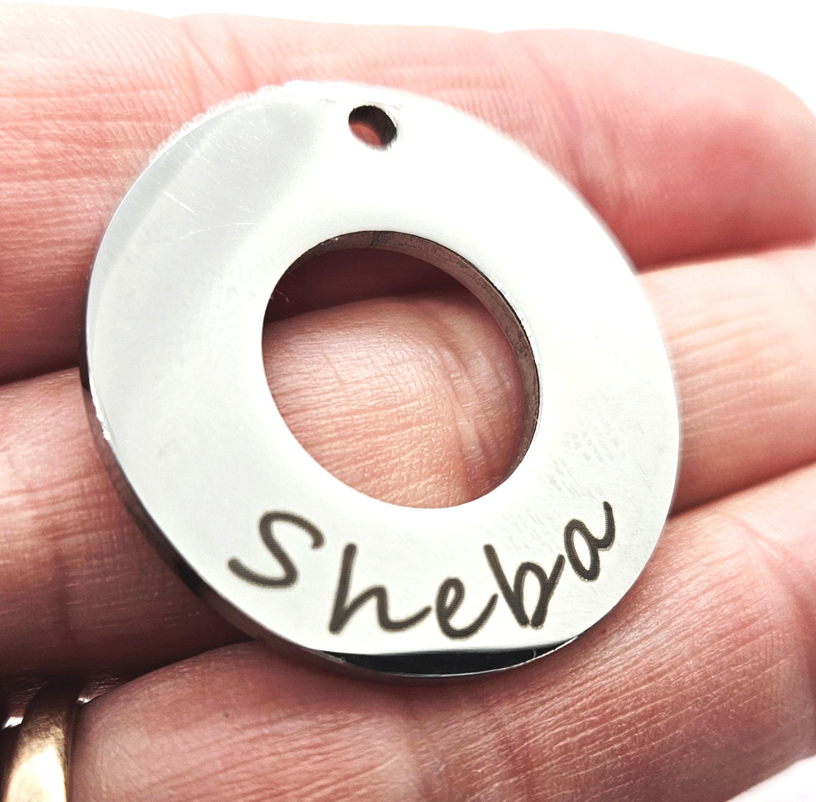 Stainless Steel Personalised Identity Round Pet Tag